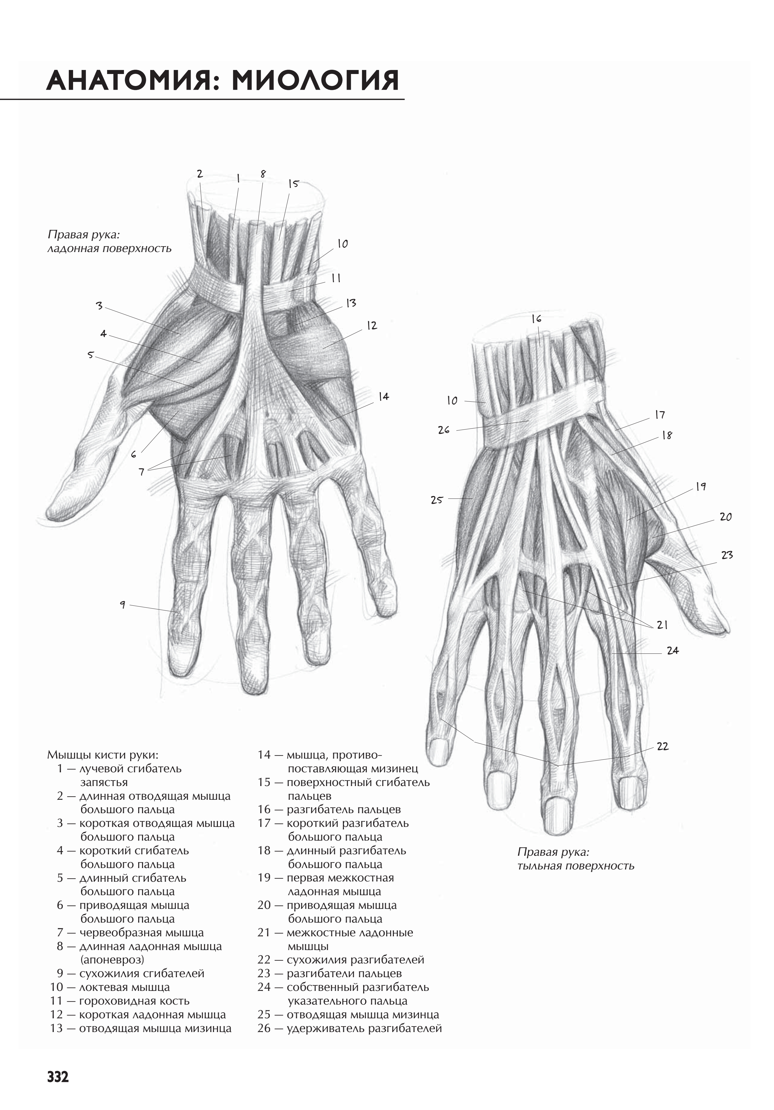 آموزش نقاشی طراحی سیاه قلم شهرری